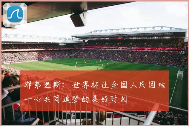 邓弗里斯：世界杯让全国人民团结一心共同追梦的美好时刻
